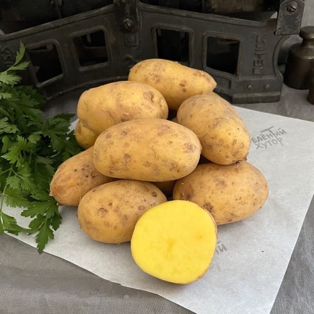 Картофель, ферма Григория Анищенкова