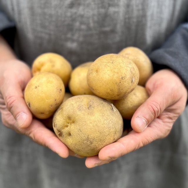 Картофель ОРГАНИК, ферма Светланы Нестеровой