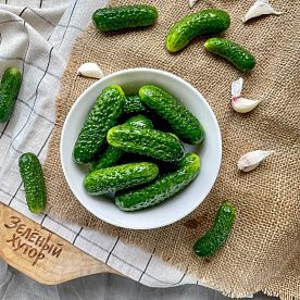 Огурцы малосольные, сами солим