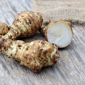 Топинамбур, ферма Веси