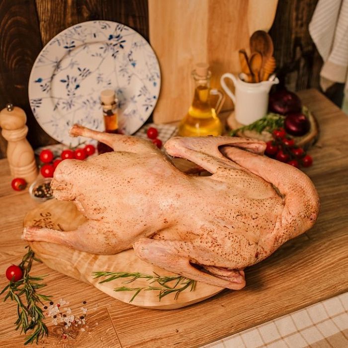 Гусь домашний