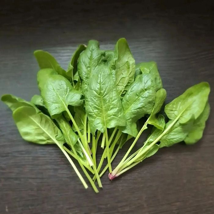 Шпинат ОРГАНИК, БиоХутор Юлии Сафроновой