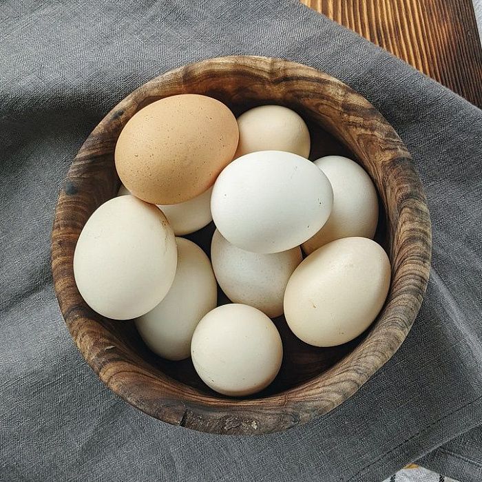 Куриные яйца, ферма Алаша Исмаилова