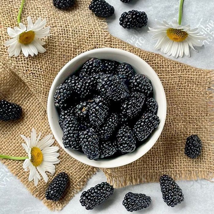 Ежевика, ферма семьи Чайкиных