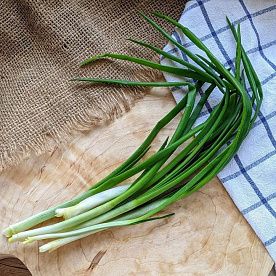 Зеленый лук ОРГАНИК, БиоХутор Юлии Сафроновой