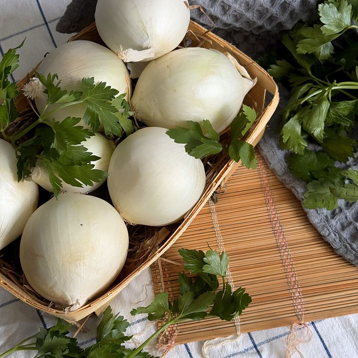 Лук белый репчатый, ферма Сергея Зверева