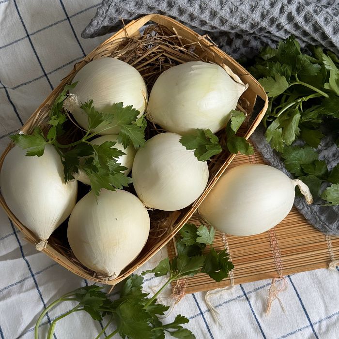 Лук белый репчатый, ферма Сергея Зверева