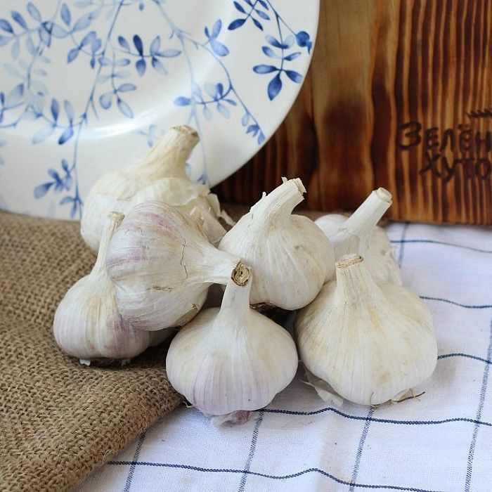 Чеснок ОРГАНИК, АгроНова