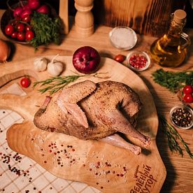 Цесарка, ферма Алаша Исмаилова