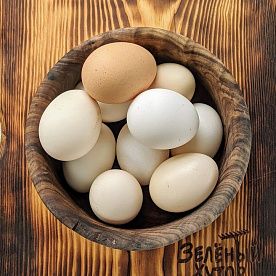 Куриные яйца, ферма Алаша Исмаилова