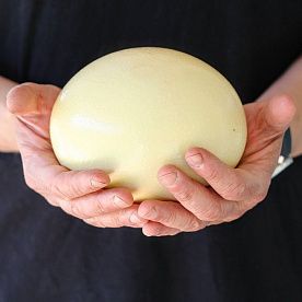 Яйцо страусиное, Австралийский Хутор
