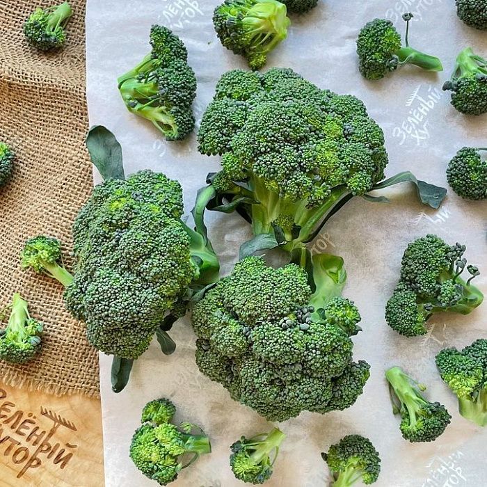 Брокколи, ферма Сергея Зверева