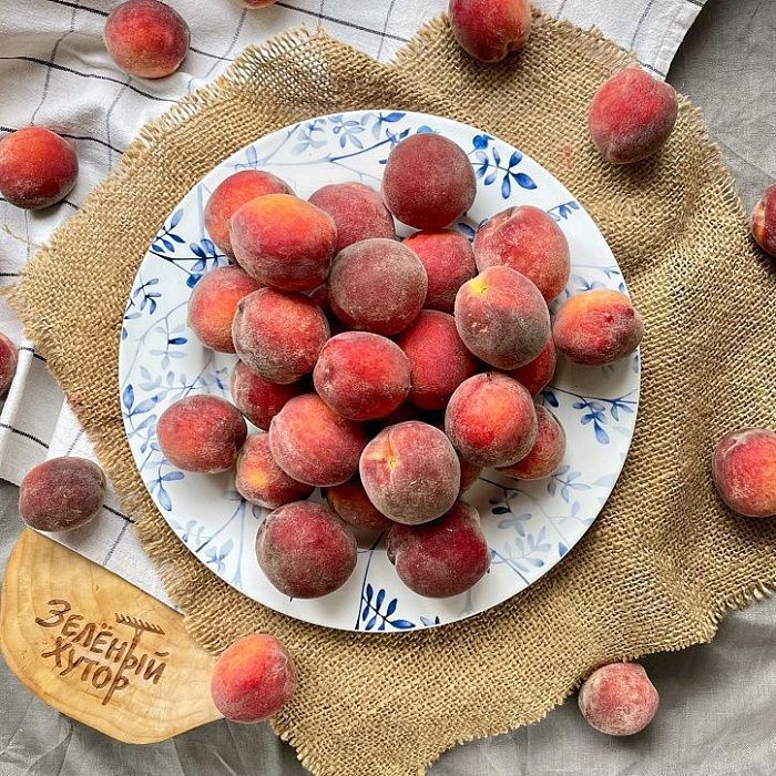 Персики, ферма семьи Чайкиных