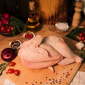 Цыпленок, ферма Алаша Исмаилова