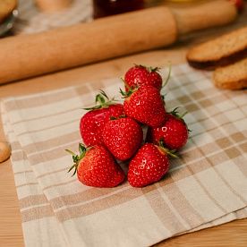 Клубника, ферма Сергея Красикова