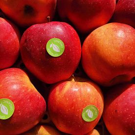 Яблоки Флорина ORGANIC, Богатый Урожай