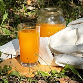 Сок из органической тыквы, ферма Светланы Нестеровой