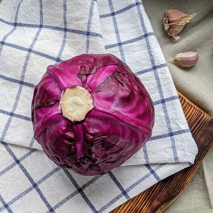 Капуста краснокочанная, ферма Сергея Зверева