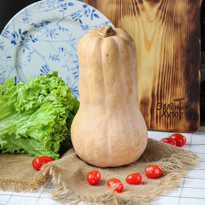 Тыква Матильда, ферма Владимира Кременицкого