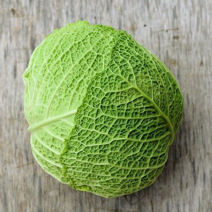 Капуста савойская, ферма Лебедь