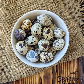 Перепелиные яйца, ферма Сергея Гриднева