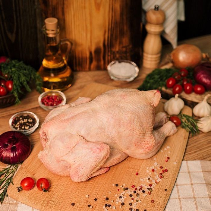 Цыпленок, ферма Алаша Исмаилова