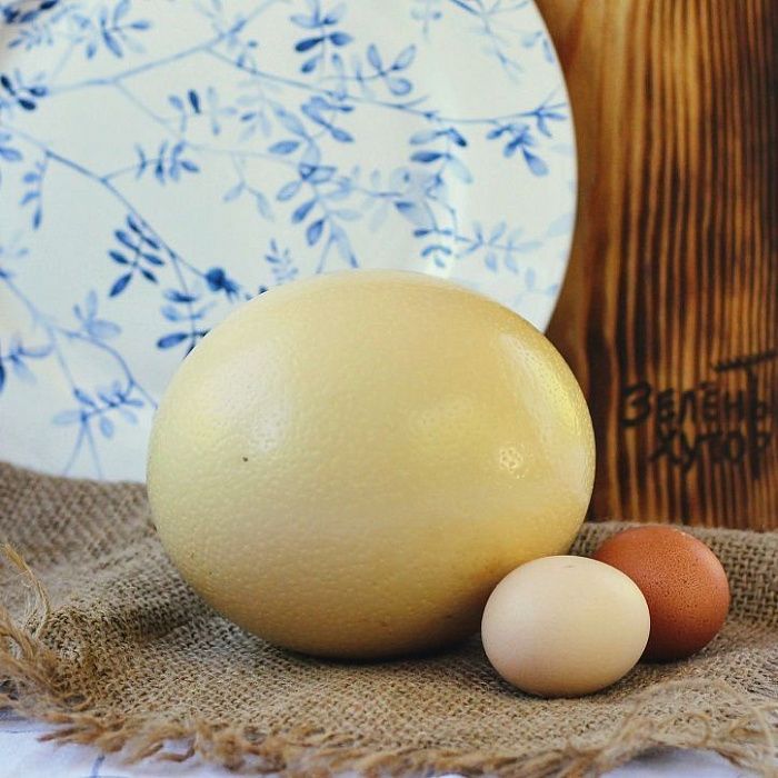 Яйцо страусиное, Австралийский Хутор