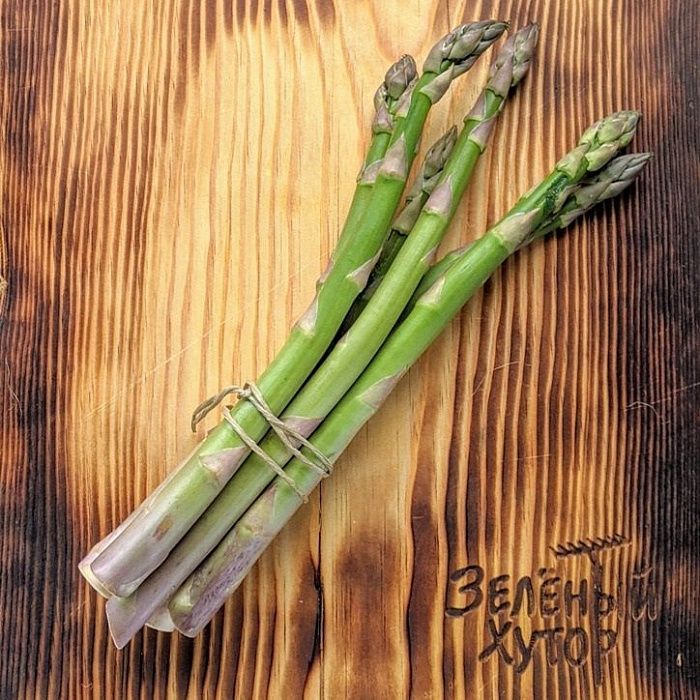 Спаржа, ферма Владимира Левченко