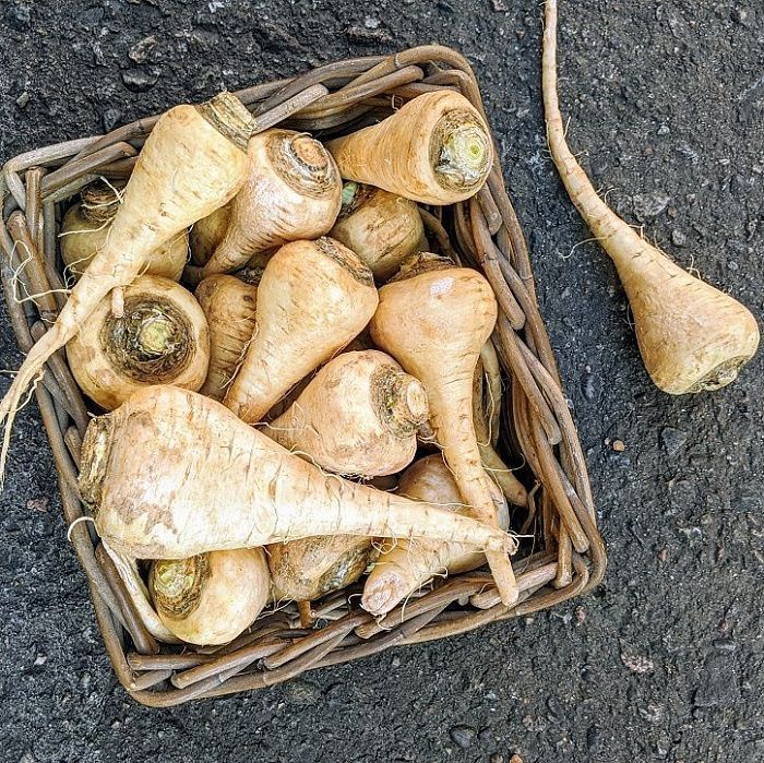 Пастернак от Сергея Зверева