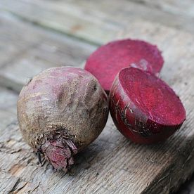 Свекла, ферма Лебедь