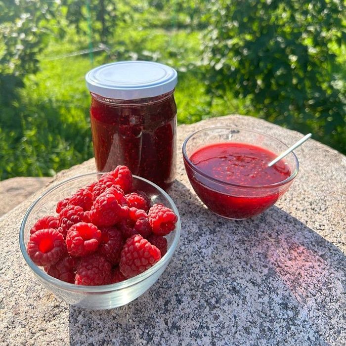 Малина, от Ларисы Мишиной