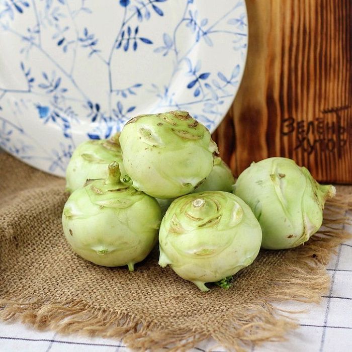 Кольраби белая, ферма Сергея Зверева