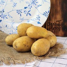 Картофель молодой, ферма Владимира Клетного