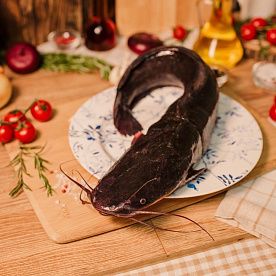 Клариус непотрошеный, ферма Риммы Петровой