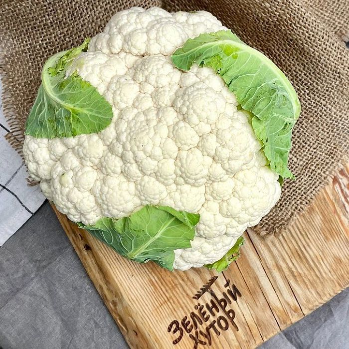 Цветная капуста, ферма Сергея Зверева