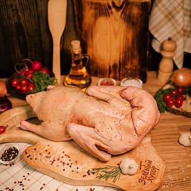 Утка домашняя