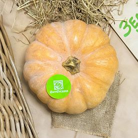 Тыква Ромашка ORGANIC, Агронова