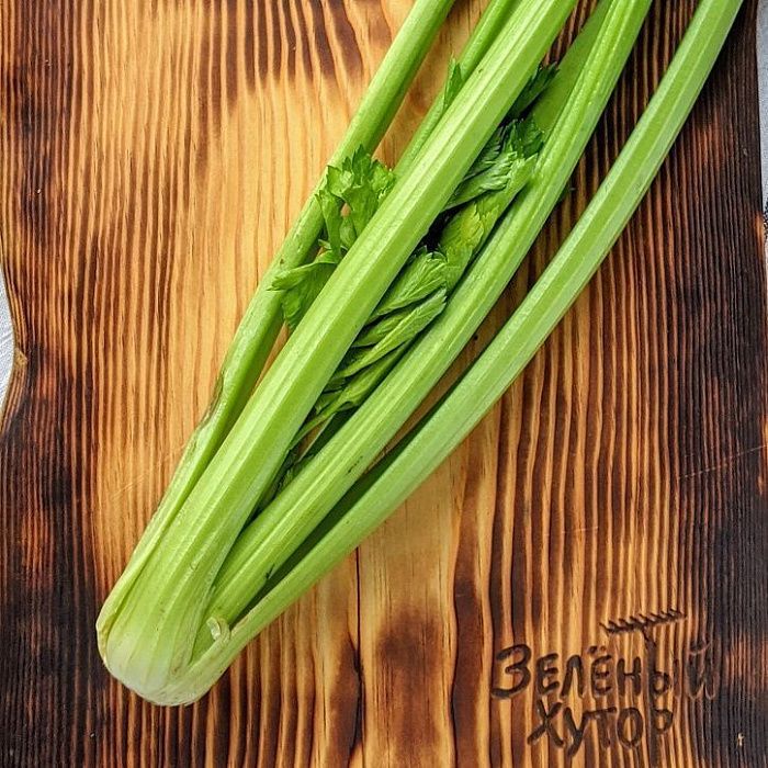 Сельдерей черешковый, ферма Сергея Зверева