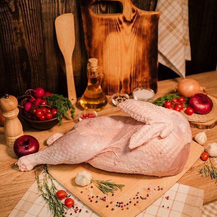 Индейка домашняя, ферма Русь