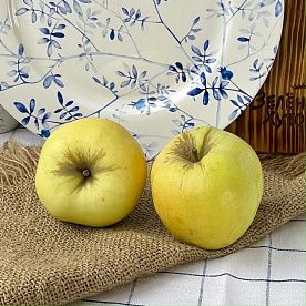 Яблоки Антоновка, ферма Брод