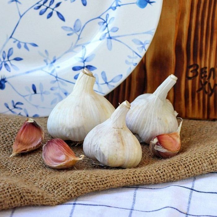 Чеснок ОРГАНИК, АгроНова