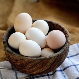 Куриные яйца от молодок, ферма Алаша Исмаилова