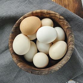 Куриные яйца, ферма Сергея Гриднева